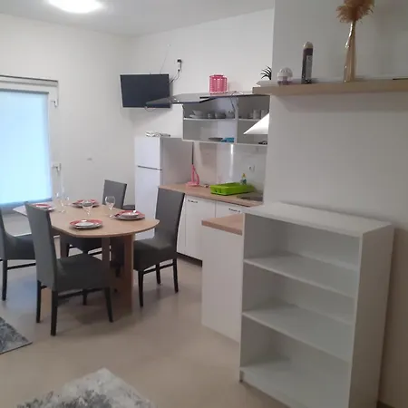 Miletic Guest house *