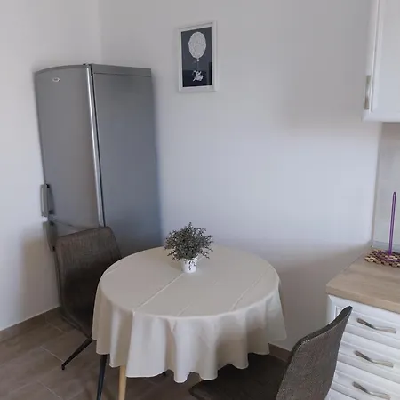 Guest house Miletic *