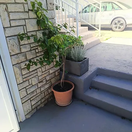 Miletic Gostinjska kuća