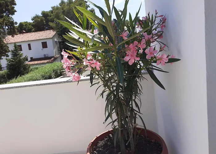 Pensjonat Miletić Jelsa (Hvar)