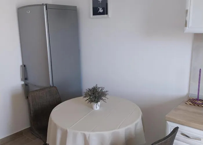Pensionat Miletic 4*
