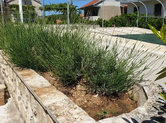 Pensionat Miletic Jelsa (Hvar)